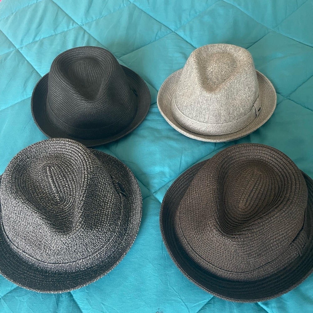 Bailey of Hollywood Black and Gray Brown and Multi Colored Hats ,